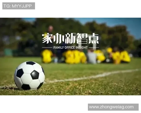 3000万欧的“储蓄罐”:当金元足球遇上长远布局 3000万欧的“储蓄罐”:当金元足球遇上长远布局